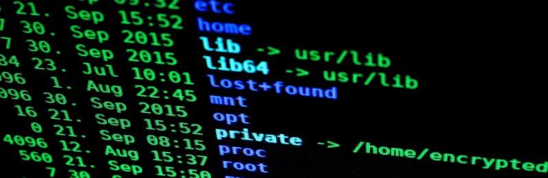 network security