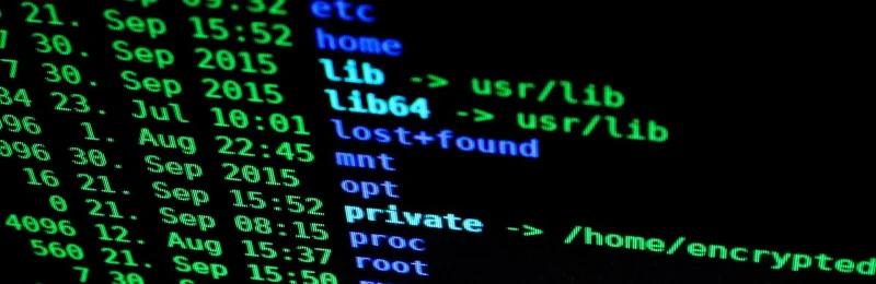 network security