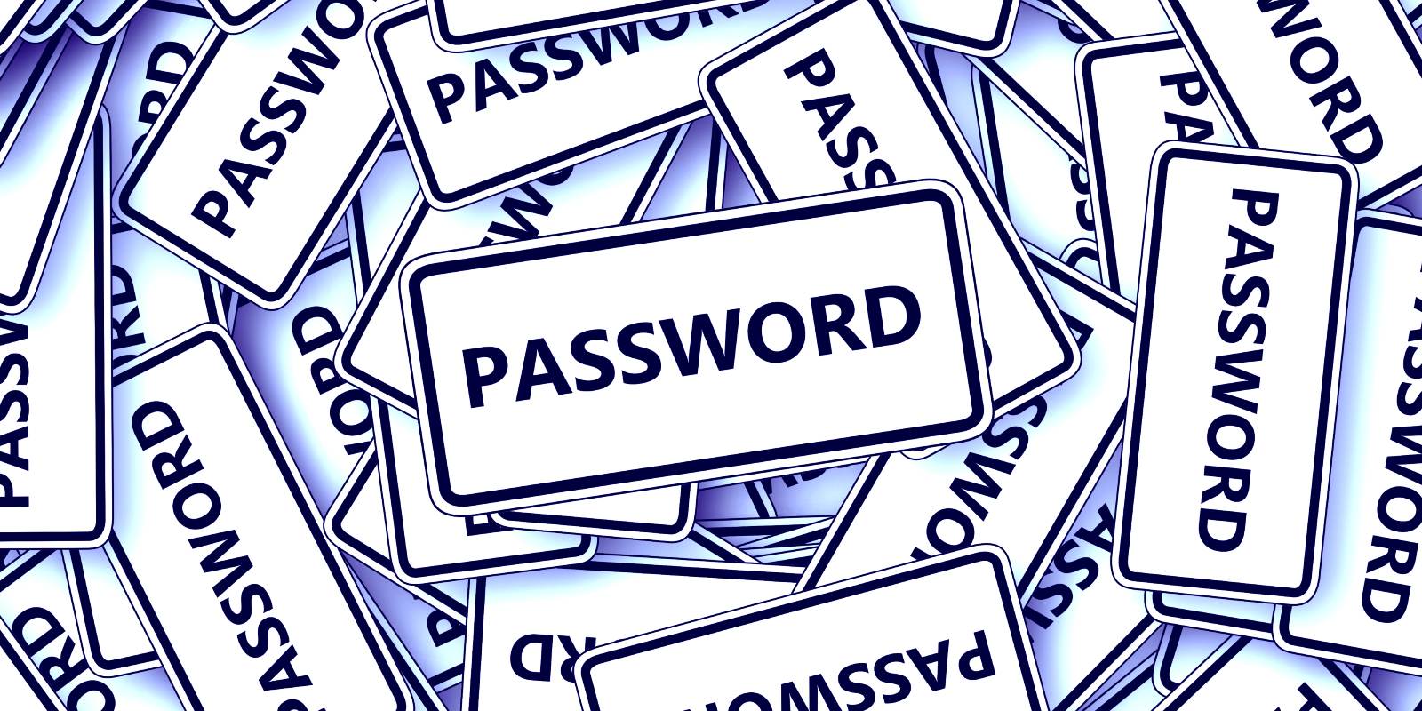 密码 Password