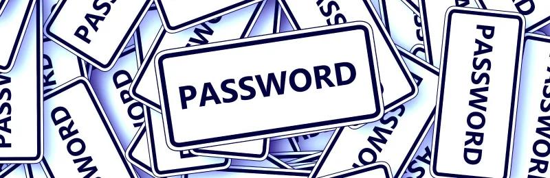 密码 Password