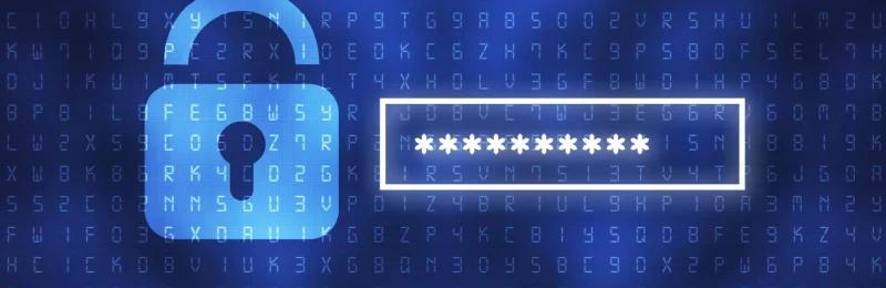 密码password