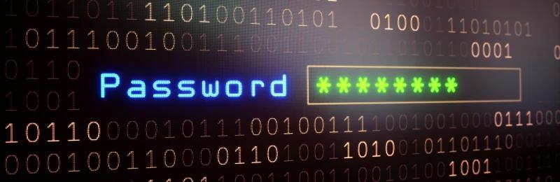 密码 Password Input Field on Binary