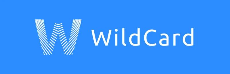 WildCard 卡