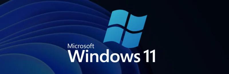 Windows 11