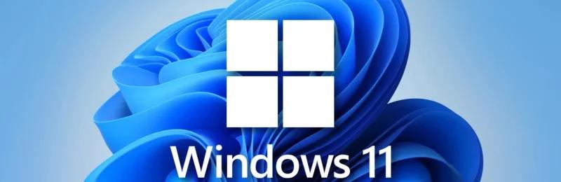 Windows 11