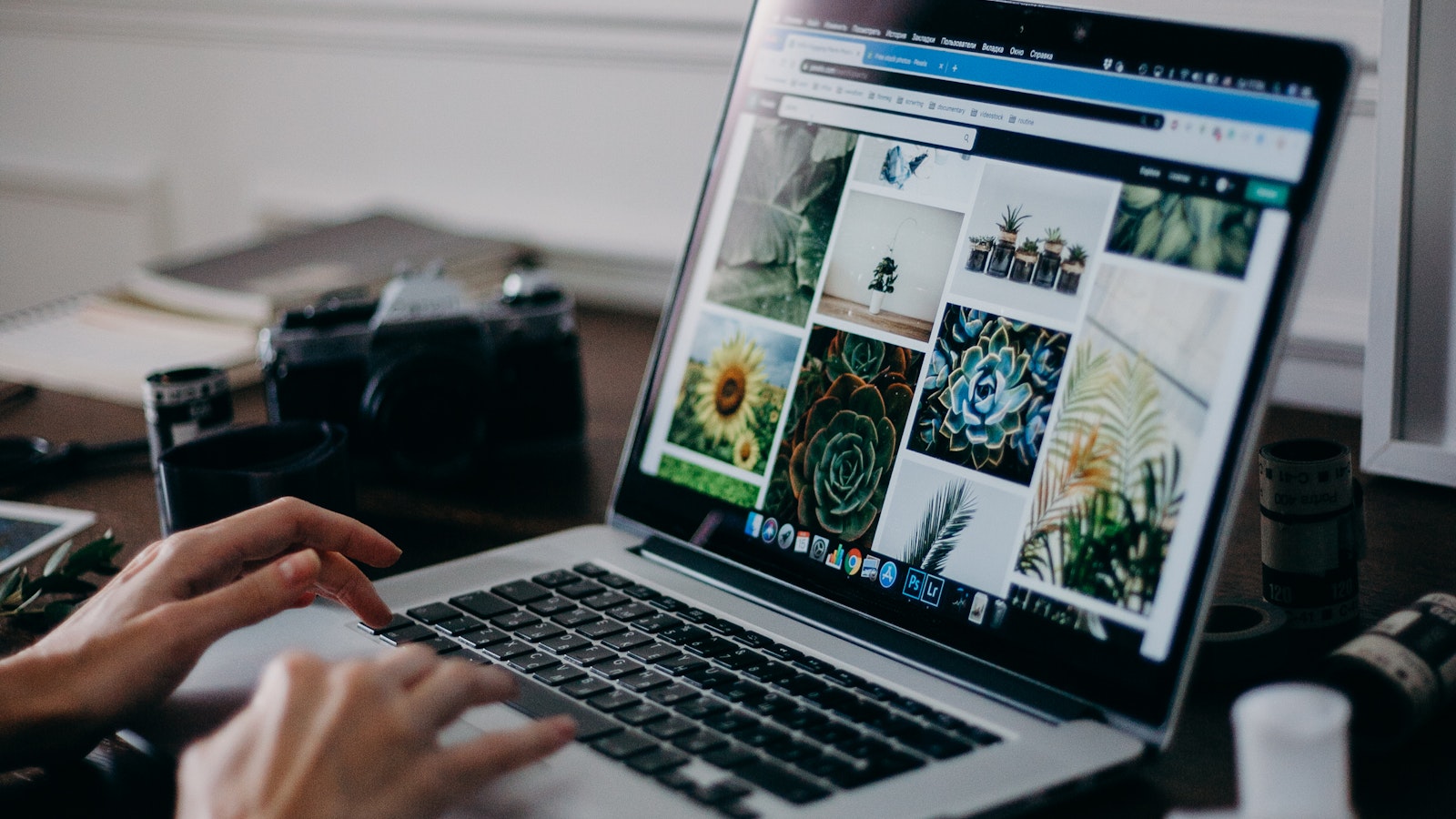 网站 website