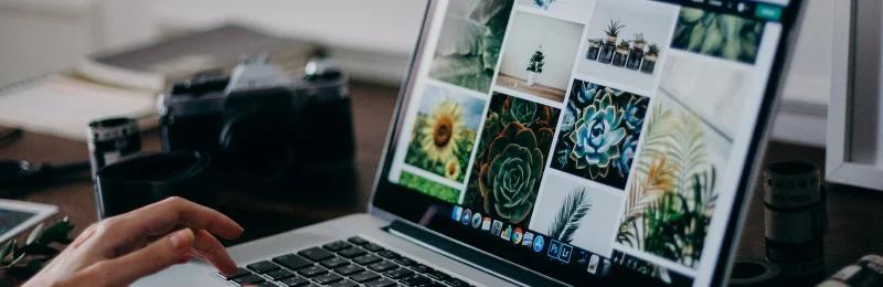 网站 website