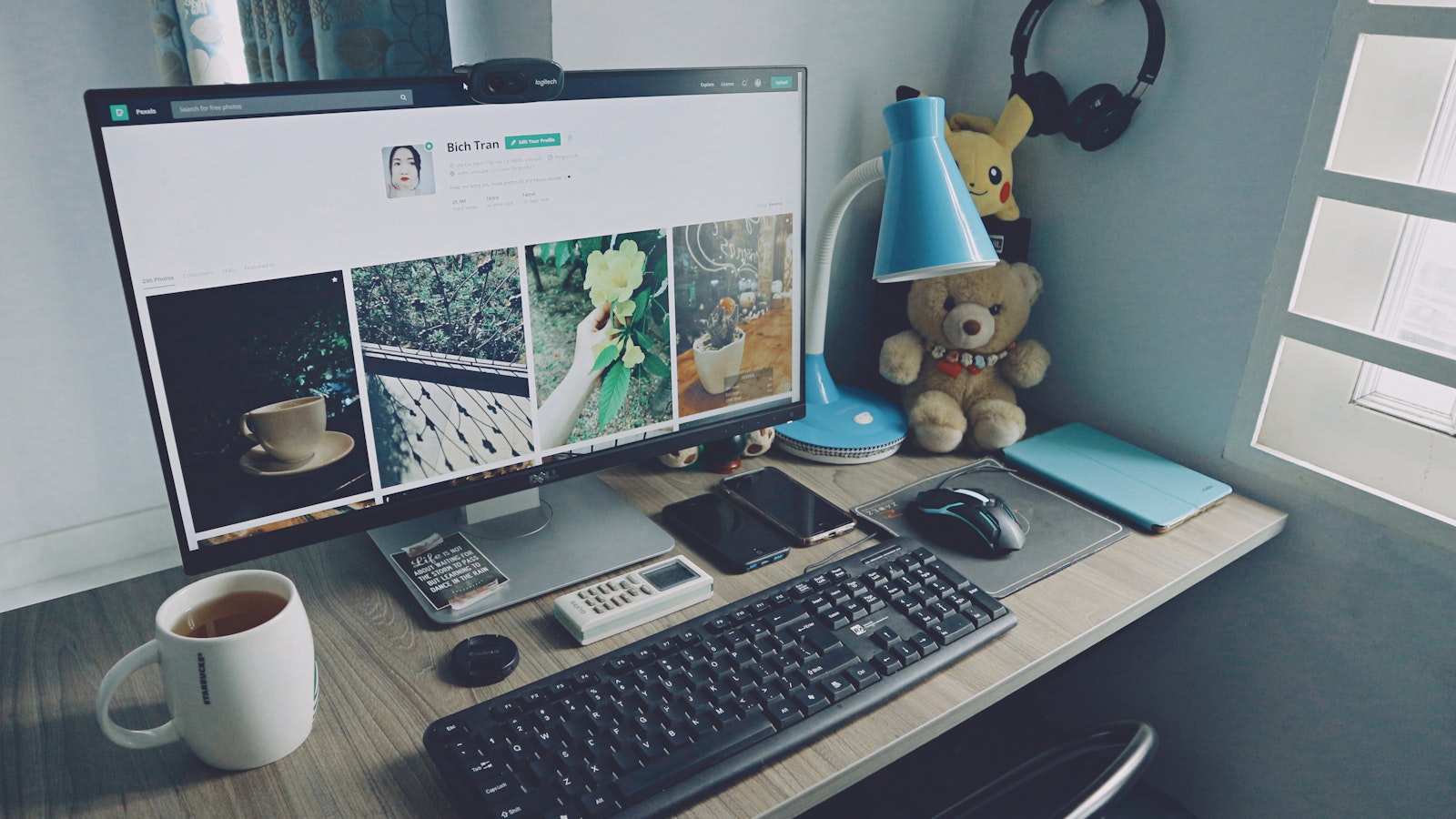 网站 website