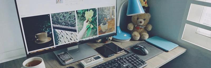 网站 website