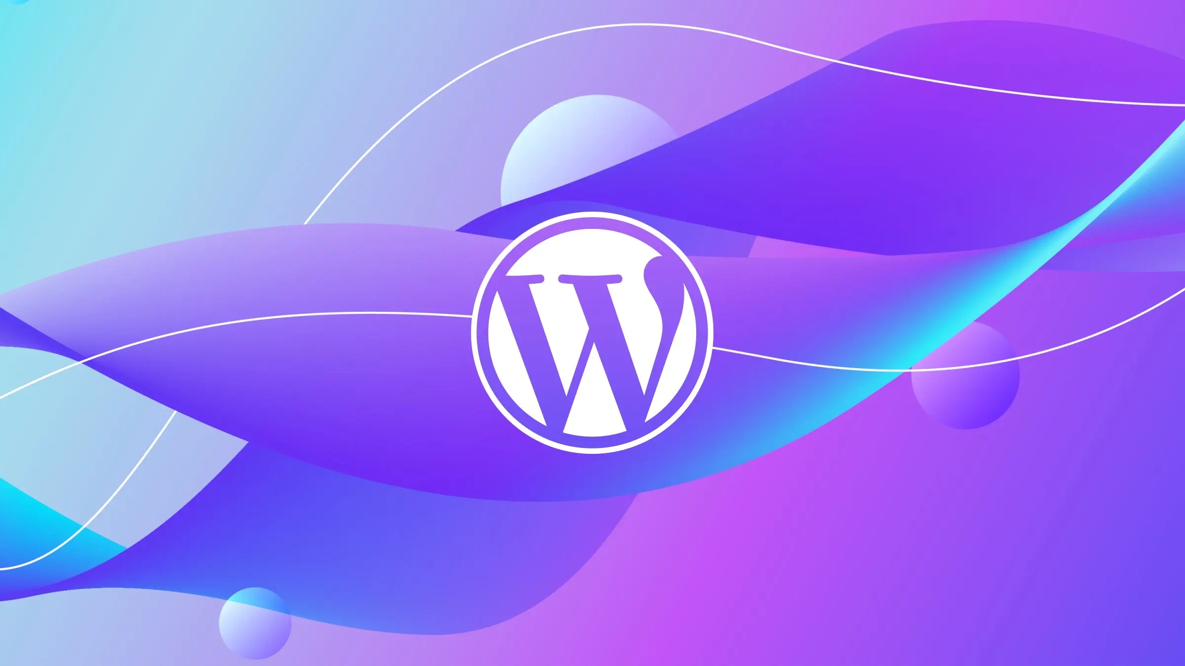 WordPress-01
