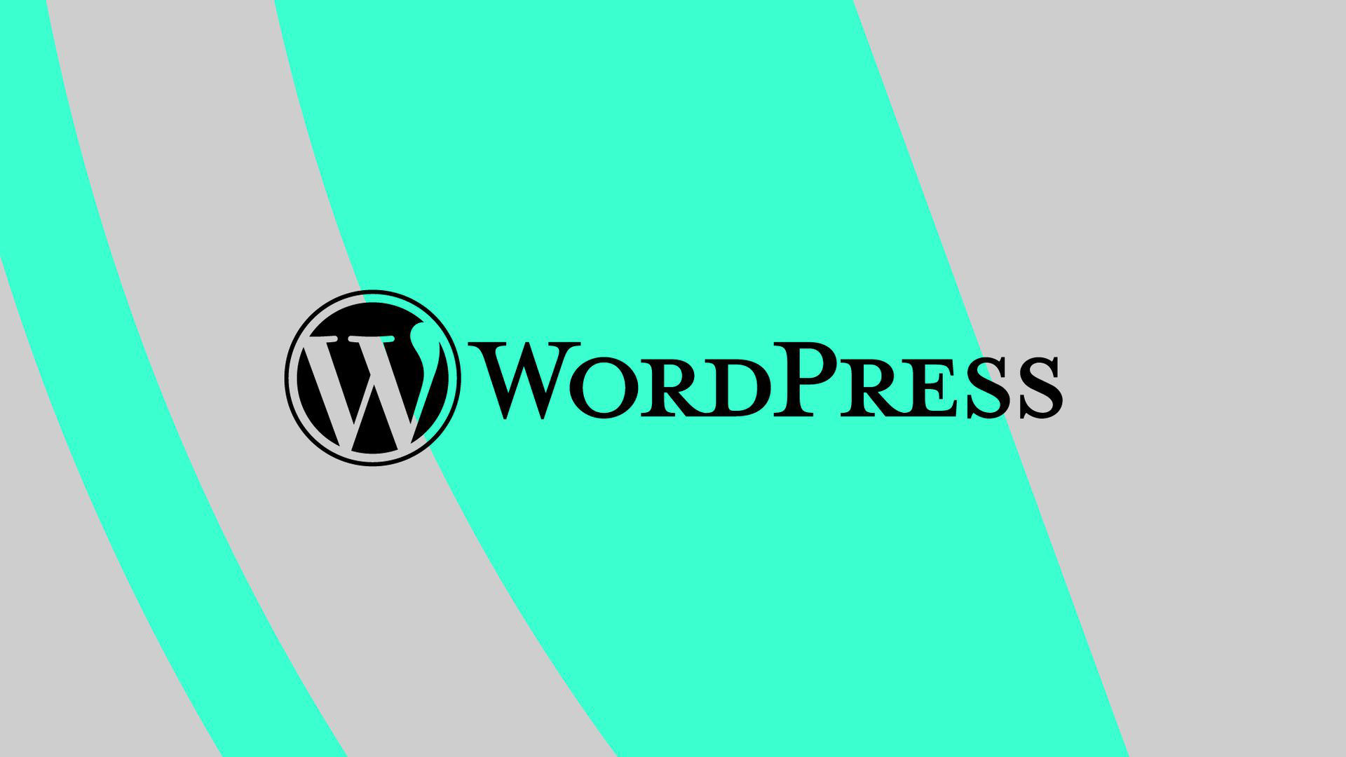 WordPress-09