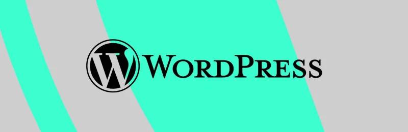 WordPress-09