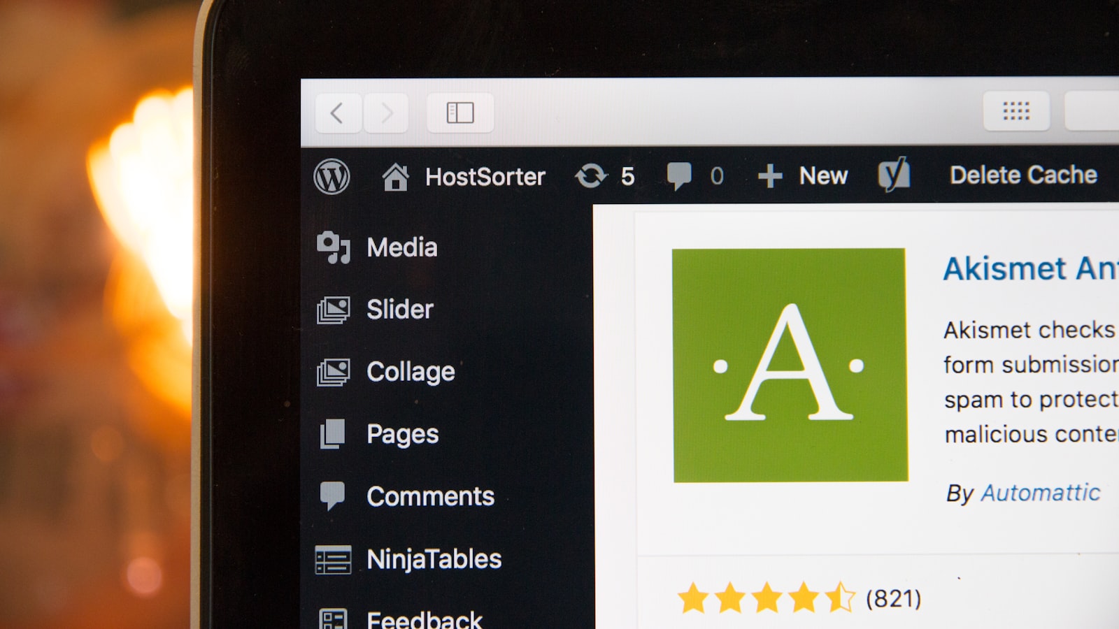 WordPress