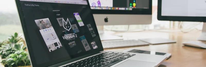 网站 website