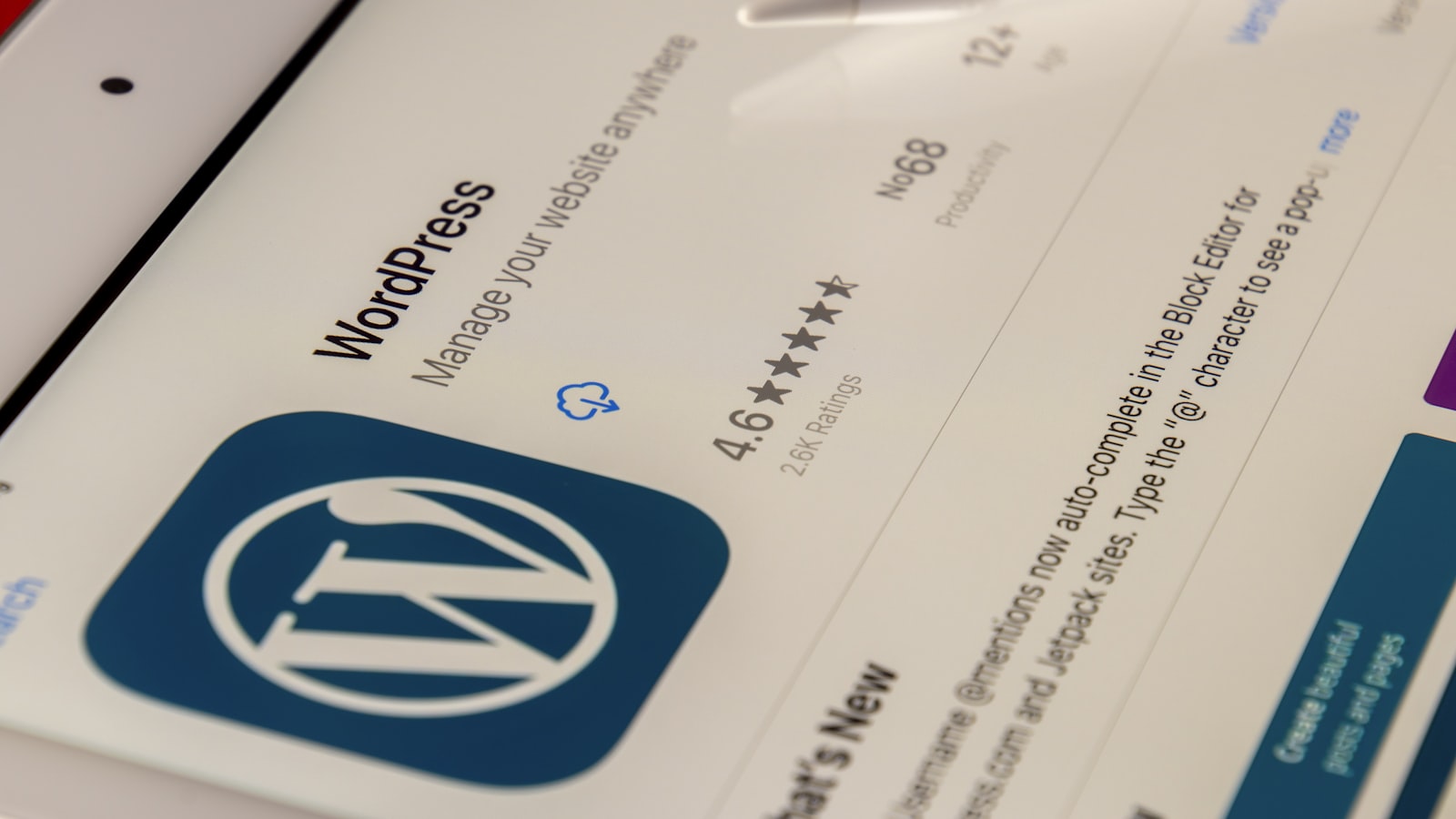 WordPress